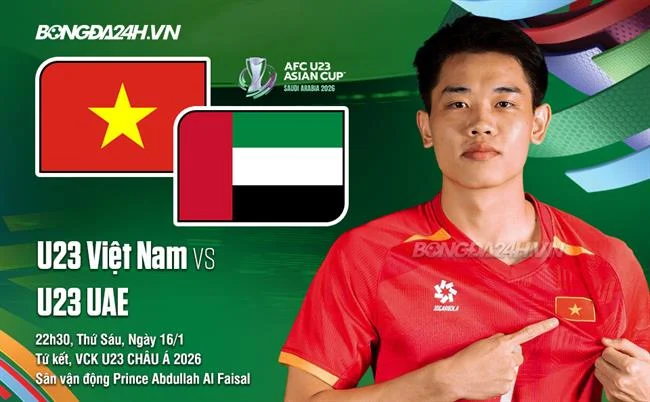Đá gà Philippines tại hi8 win